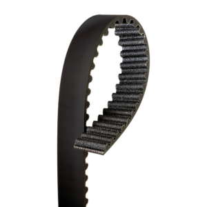 Life Fitness Step Belt