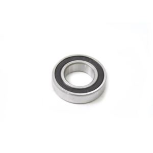 6005 2RS Radial Bearing