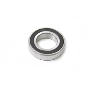 6006 2RS Radial Bearing